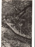 CPIB 15911 CARTE POSTALA - SLANIC MOLDOVA. ALEEA SPRE IZVOARE, RPR, Circulata, Fotografie