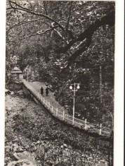 CPIB 15911 CARTE POSTALA - SLANIC MOLDOVA. ALEEA SPRE IZVOARE, RPR