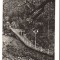 CPIB 15911 CARTE POSTALA - SLANIC MOLDOVA. ALEEA SPRE IZVOARE, RPR