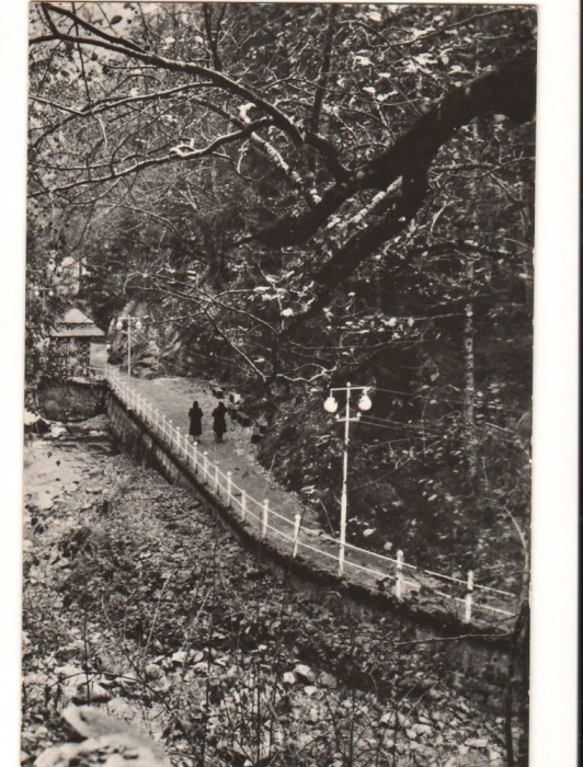 CPIB 15911 CARTE POSTALA - SLANIC MOLDOVA. ALEEA SPRE IZVOARE, RPR