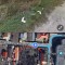 Teren v&acirc;nzare intravilan comuna 1 Decembrie, Ilfov
