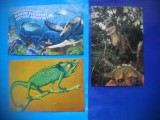 HOPCT LOT NR 424 REPTILE -3 CARTI POSTALE-CIRCULATE