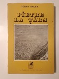 Ioana Orlea - Pietre la țărm (roman) (1972)