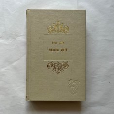 Irving Stone - Bucuria vietii foto