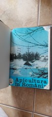 REVISTA APICULTURA IN ROMANIA ANUL 1980 , LOT 11 REVISTE LIPSA NOIEMBRIE