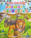 Coloram animale salbatice - Editura Erc Press