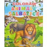 Coloram animale salbatice - Editura Erc Press