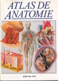 Trevor Weston - Atlas de anatomie