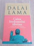 Dalai Lama - Calea budismului tibetan