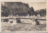 Bnk cp Bradet ( Arges) - Podul spre padure - uzata 1955, Circulata, Printata