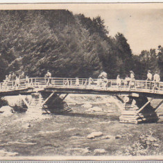 bnk cp Bradet ( Arges) - Podul spre padure - uzata 1955