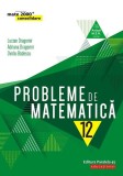 Probleme de matematică pentru clasa a XII-a - Paperback brosat - Lucian Dragomir, Adriana Dragomir, Ovidiu Bădescu - Paralela 45 educațional, Matematica