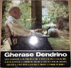 Disc vinil - Melodii De Gherase Dendrino-Electrecord- EDD 1147