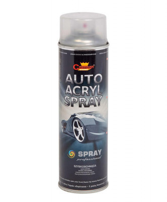 Spray Vopsea 500ml Acrilic Profes. Lac Transparent Champion Color AVX-CHP094 foto