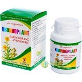 Bronhoplant (Expectorant, Antispastic) 40cpr