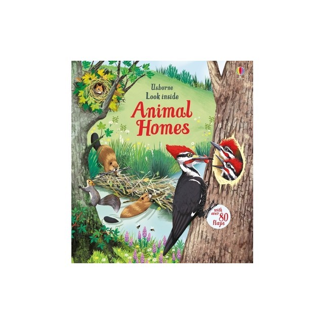 Look Inside Animal Homes