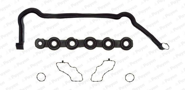 PAYEN HM5291 Set garnituri, Capac supape