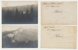 1917 lot doua ilustrate foto statiunea Paltinis jud. Sibiu - &icirc;mprejurimi montane