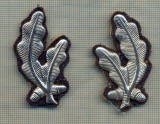 Y 1860 INSIGNA - MILITARA -PERECHE LAURI METALICI REVER -PENTRU COLECTIONARI