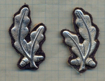 Y 1860 INSIGNA - MILITARA -PERECHE LAURI METALICI REVER -PENTRU COLECTIONARI foto