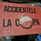 Doina Lupulescu, Valeriu Ghiceanu - Accidentele la Copii.