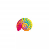 RAINBOW SEASHELL FLOAT