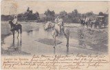 CP SALUTARI DIN Romania ND(1901)