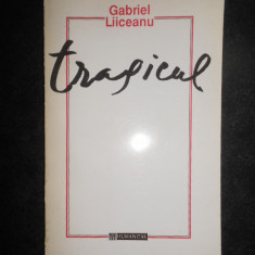 Gabriel Liiceanu - Tragicul