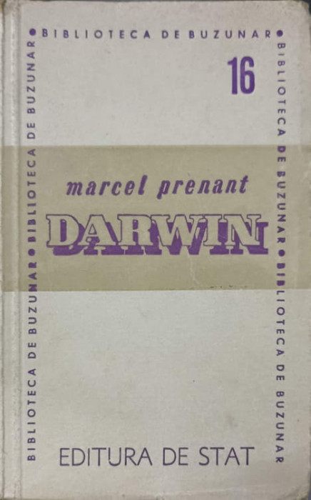 DARWIN-MARCEL PENANT-238394