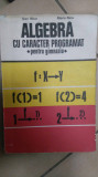 Algebra Cu Caracter Programat Pentru Gimnaziu - Dan Nica, Maria Nica ,549738, Didactica Si Pedagogica