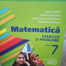 Rozica Stefan - Matematica. Exercitii si probleme clasa a 7-a (2015)