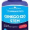 Ginkgo 120 stem 120cps vegetale