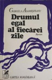 DRUMUL EGAL AL FIECAREI ZILE-GABRIELA ADAMESTEANU-339597