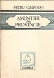 Amintiri din provincie - Petru Cimpoesu, Editura Junimea 1983, Literatura Romana Clasica