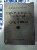 PERSONALISMUL ENERGETIC SI ALTE SCRIERI -C.RADULESCU MOTRU