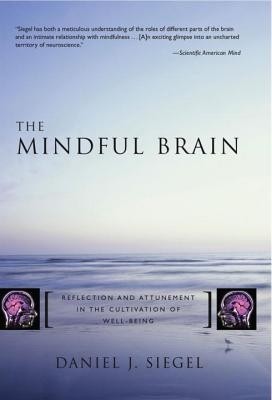 The Mindful Brain: Reflection and Attunement in the Cultivation of Well-Being foto