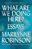 What Are We Doing Here?: Essays