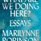 What Are We Doing Here?: Essays