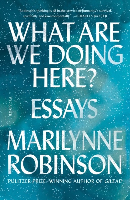 What Are We Doing Here?: Essays