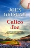 Calico Joe - John Grisham