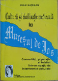 Cultura si civilizatie medievala la Muresul de Jos - Ioan Hategan