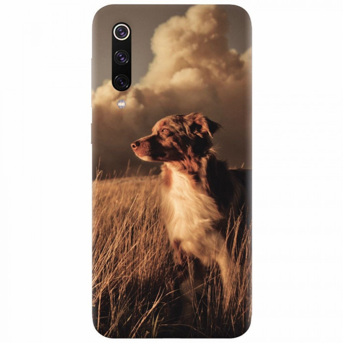 Husa silicon pentru Xiaomi Mi 9, Alone Dog Animal In Grass