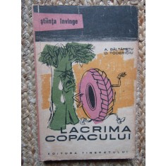 A BALTARETU - LACRIMA COPACULUI