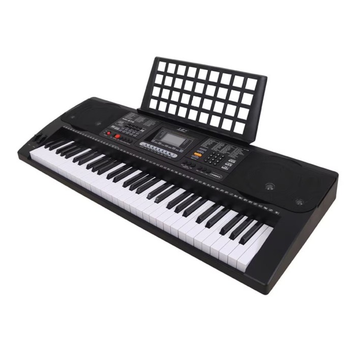 Orga electronica profesionala MK-812 cu 61 clape sensitive si functie Touch