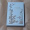 JANE AUSTEN - RATIUNE SI SIMTIRE cartonata