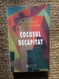 Eginald Schlattner - Cocosul decapitat
