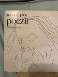 Teodor Pica - Poezii (ilustratii Florin Puca), Editura Eminescu, 1970, 65 pagini