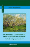 Dumnezeu contemplat prin oglinda lucrurilor - Pierre-Marie Emonet