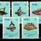 Peru 1971 - Traditional Fisheries of Peru, serie neuzata