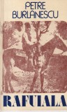 Rafuiala - Petre Burlanescu, Thriller, Roman Politist, Scrisul Romanesc, 1981, Actiune, Intriga
